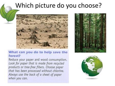 Which picture do you choose?. Where does paper come from? We get paper from trees in forests. If we use too many trees, forest disappear. If we don’t.