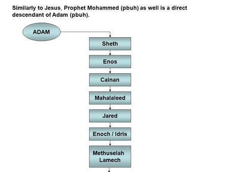 ADAM Sheth Enos Cainan Mahalaleed Jared Enoch / Idris Methuselah Lamech Similarly to Jesus, Prophet Mohammed (pbuh) as well is a direct descendant of Adam.