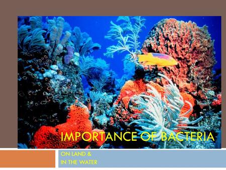 IMPORTANCE OF BACTERIA ON LAND & IN THE WATER. Ewww!.....Or is it??  We eat bacteria with every mouthful of food we eat. We are covered in bacteria.