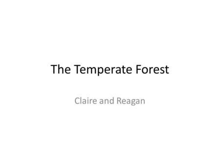 The Temperate Forest Claire and Reagan. Pictures.