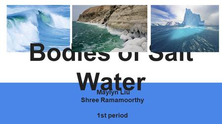 Maylyn Liu Shree Ramamoorthy 1st period Bodies of Salt Water.