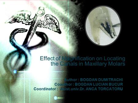 Author : BOGDAN DUMITRACHI Coauthor : BOGDAN LUCIAN BUCUR Coordinator : Asist.univ.Dr. ANCA TORCATORU Effect of Magnification on Locating the Canals in.