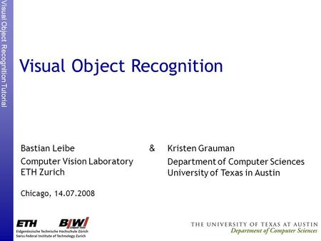 Visual Object Recognition