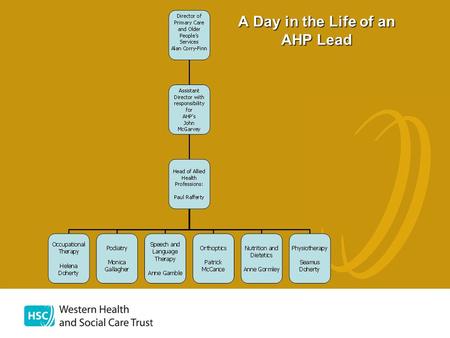 A Day in the Life of an AHP Lead. JOB SUMMARY The Head of Allied Health Professionals will be responsible for professional leadership of AHP services.