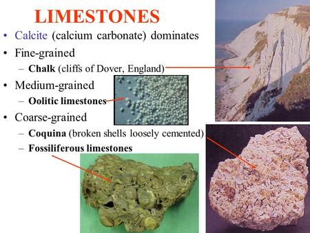 LIMESTONES Calcite (calcium carbonate) dominates Fine-grained –Chalk (cliffs of Dover, England) Medium-grained –Oolitic limestones Coarse-grained –Coquina.