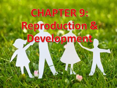 Reproduction & Development