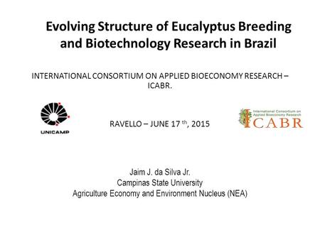 Evolving Structure of Eucalyptus Breeding and Biotechnology Research in Brazil INTERNATIONAL CONSORTIUM ON APPLIED BIOECONOMY RESEARCH – ICABR. RAVELLO.