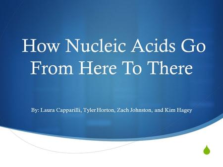  How Nucleic Acids Go From Here To There By: Laura Capparilli, Tyler Horton, Zach Johnston, and Kim Hagey.