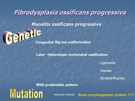 Fibrodysplasia ossificans progressiva Myositis ossificans progressiva Big toe malformation Congenital Heterotopic enchondral ossificationLater Ligaments.