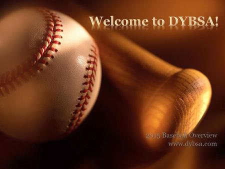 2015 Baseball Overview www.dybsa.com. Safety Development Fun.