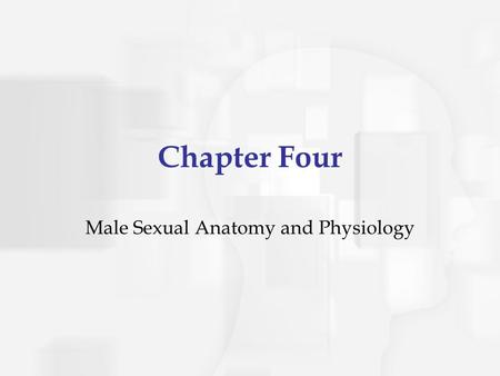 Chapter Four Male Sexual Anatomy and Physiology. The Male Sexual and Reproductive System External Sex Organs Internal Sex Organs Other Sex Organs.