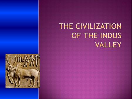  What they harvested and domesticated. Also, how people once lived there. Finally, how long the Indus lasted.