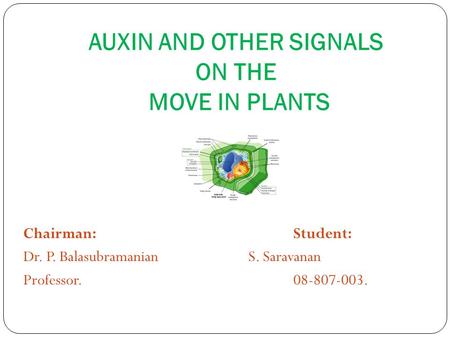 AUXIN AND OTHER SIGNALS ON THE MOVE IN PLANTS Chairman:Student: Dr. P. BalasubramanianS. Saravanan Professor.08-807-003.