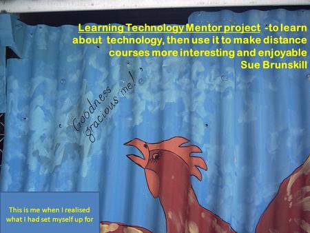 Learning Technology Mentor project -to learn about technology, then use it to make distance courses more interesting and enjoyable Sue Brunskill This is.