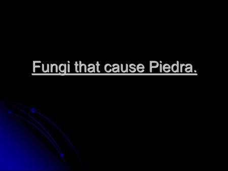 Fungi that cause Piedra.