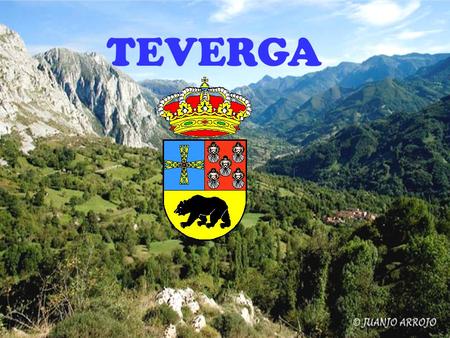 TEVERGA. FLORA Beech forests Chestnut and oak forests Ash forests Alisos forests.