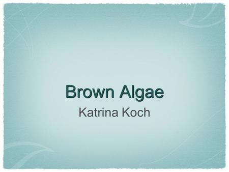 Brown Algae Katrina Koch. What Are They? Largest and most complex algae, called seaweeds Multicellular and form with branched filaments, tufts, fleshy.