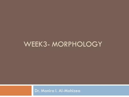 WEEK3- MORPHOLOGY Dr. Monira I. Al-Mohizea. What is this?