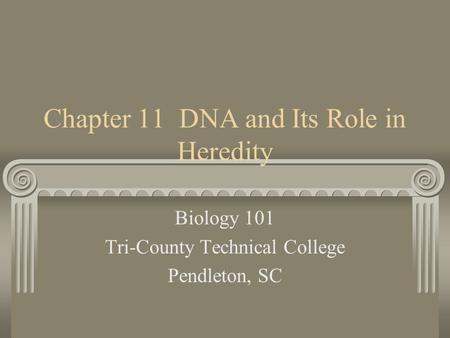 Chapter 11 DNA and Its Role in Heredity Biology 101 Tri-County Technical College Pendleton, SC.