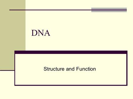 Structure and Function