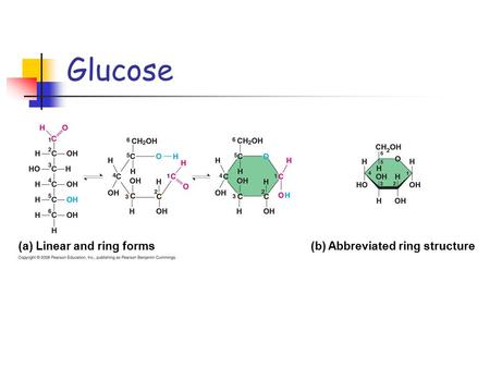 Glucose (a) Linear and ring forms(b) Abbreviated ring structure.