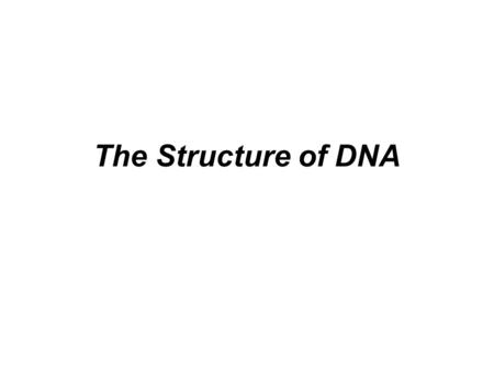 The Structure of DNA.