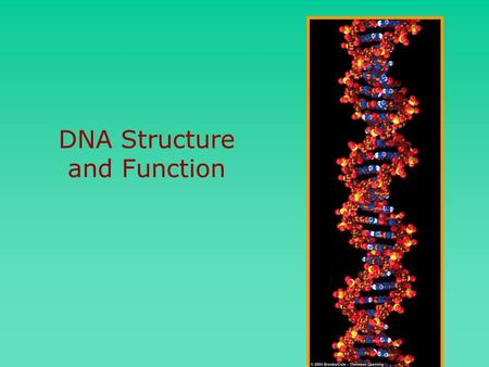 DNA Structure and Function. Griffith Griffith showed some heredity material could move into live harmless bacteria and make a lethal strain.