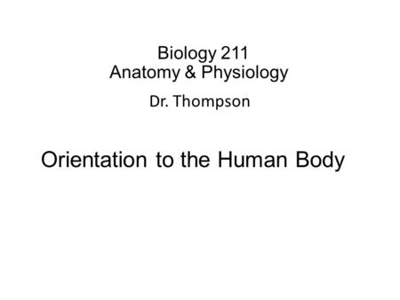 Biology 211 Anatomy & Physiology I Dr. Thompson Orientation to the Human Body.