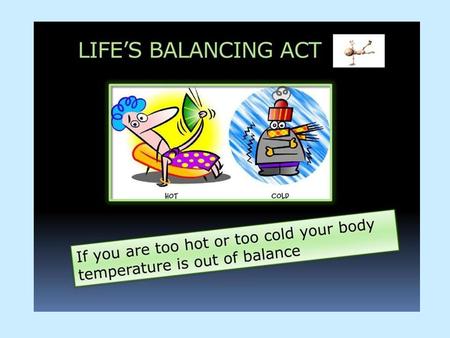 What is Homeostasis? The maintenance of a constant environment in the body is called Homeostasis.