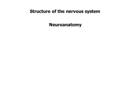 Structure of the nervous system