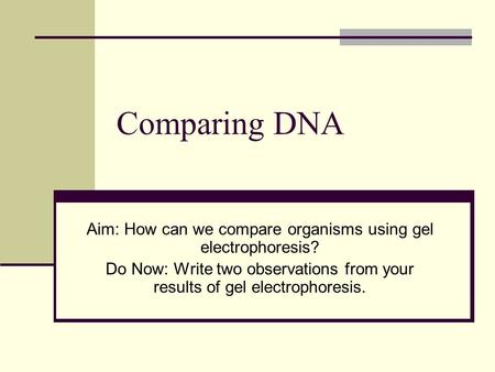 Comparing DNA Aim: How can we compare organisms using gel electrophoresis? Do Now: Write two observations from your results of gel electrophoresis.