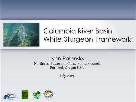 Columbia River Basin White Sturgeon Framework Lynn Palensky Northwest Power and Conservation Council Portland, Oregon USA July 2013.