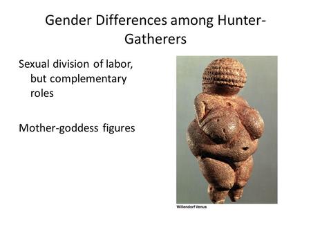 Gender Differences among Hunter- Gatherers Sexual division of labor, but complementary roles Mother-goddess figures.