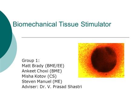 Biomechanical Tissue Stimulator Group 1: Matt Brady (BME/EE) Ankeet Choxi (BME) Misha Kotov (CS) Steven Manuel (ME) Adviser: Dr. V. Prasad Shastri.