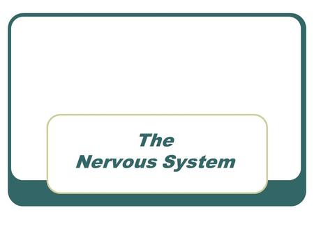 The Nervous System.