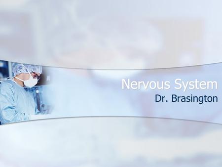 Nervous System Dr. Brasington. Neuron Neuroglia  Neuroglial cells fill spaces, support neurons, provide structural frameworks, produce myelin, and.