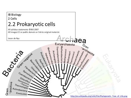 IB Biology 2 Cells 2.2 Prokaryotic cells Jason de Nys All syllabus statements ©IBO 2007 All images CC or public domain or link to original material.