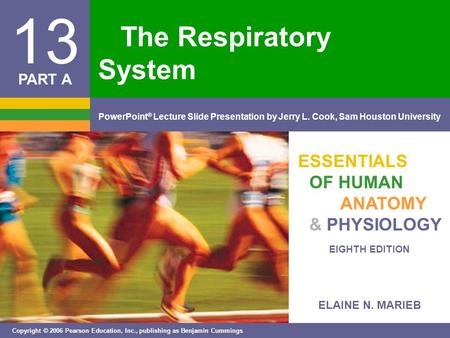 The Respiratory System