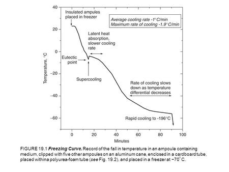 FIGURE 19.1 Freezing Curve. Record of the fall in temperature in an ampoule containing medium, clipped with five other ampoules on an aluminum cane, enclosed.