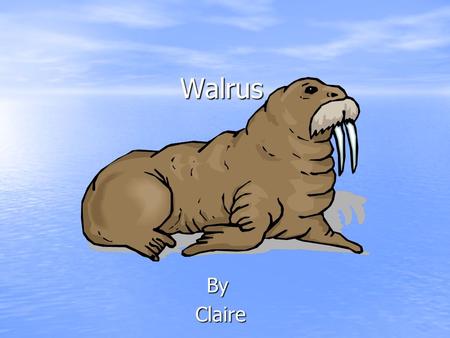 WalrusBy Claire Mammal The walrus has hair. The walrus has hair. It has a backbone. It has a backbone. The walrus breaths air through its lungs. The.