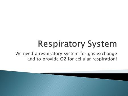 We need a respiratory system for gas exchange and to provide O2 for cellular respiration!