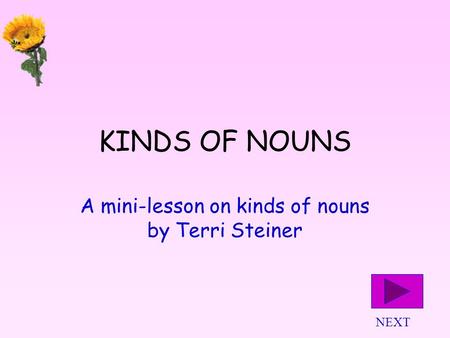 KINDS OF NOUNS A mini-lesson on kinds of nouns by Terri Steiner NEXT.