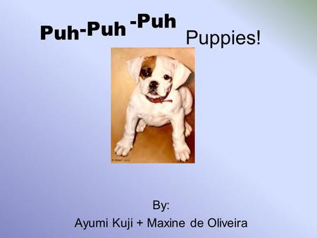 Puh By: Ayumi Kuji + Maxine de Oliveira -Puh Puppies!