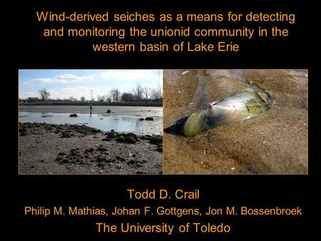 Todd D. Crail Philip M. Mathias, Johan F. Gottgens, Jon M. Bossenbroek The University of Toledo Wind-derived seiches as a means for detecting and monitoring.