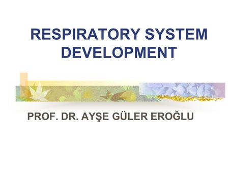 RESPIRATORY SYSTEM DEVELOPMENT PROF. DR. AYŞE GÜLER EROĞLU.