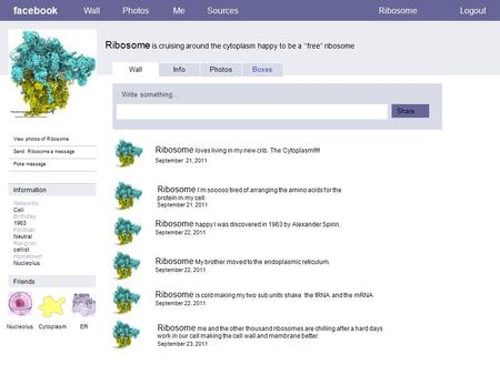 Facebook Ribosome is cruising around the cytoplasm happy to be a “free” ribosome WallPhotosMeSourcesRibosomeLogout View photos of Ribosome Send Ribosome.