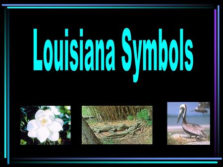 Louisiana Symbols.