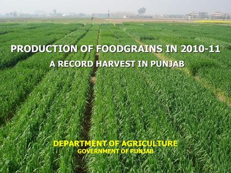 PRODUCTION OF FOODGRAINS IN 2010-11 A RECORD HARVEST IN PUNJAB A RECORD HARVEST IN PUNJAB DEPARTMENT OF AGRICULTURE GOVERNMENT OF PUNJAB.