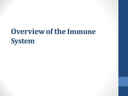 Overview of the Immune System. YOU MUST KNOW: *Elements of INNATE immune response. *Differences between B & T cells (how activated & actions of each)