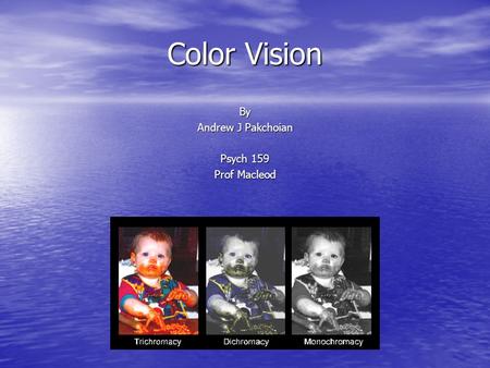 Color Vision By Andrew J Pakchoian Psych 159 Prof Macleod.